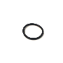 Automatic Transmission Filter O-Ring